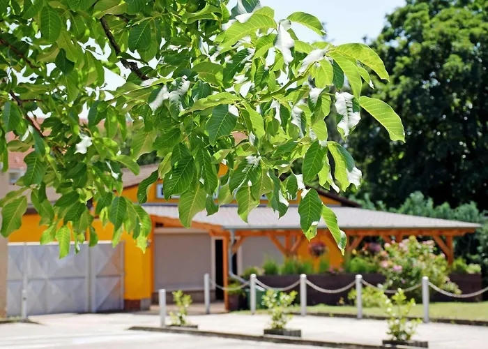 ホームステイ Ferienwohnung/ Ferienzimmer Asche *